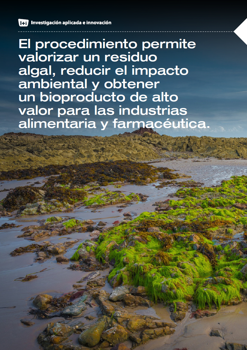 Portada_Artículo 11